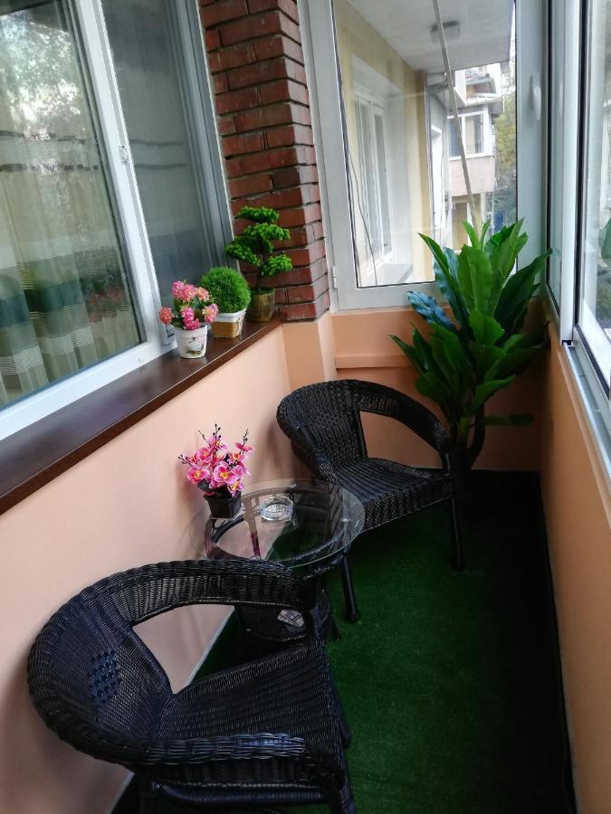 Ani Veliko Tarnovo